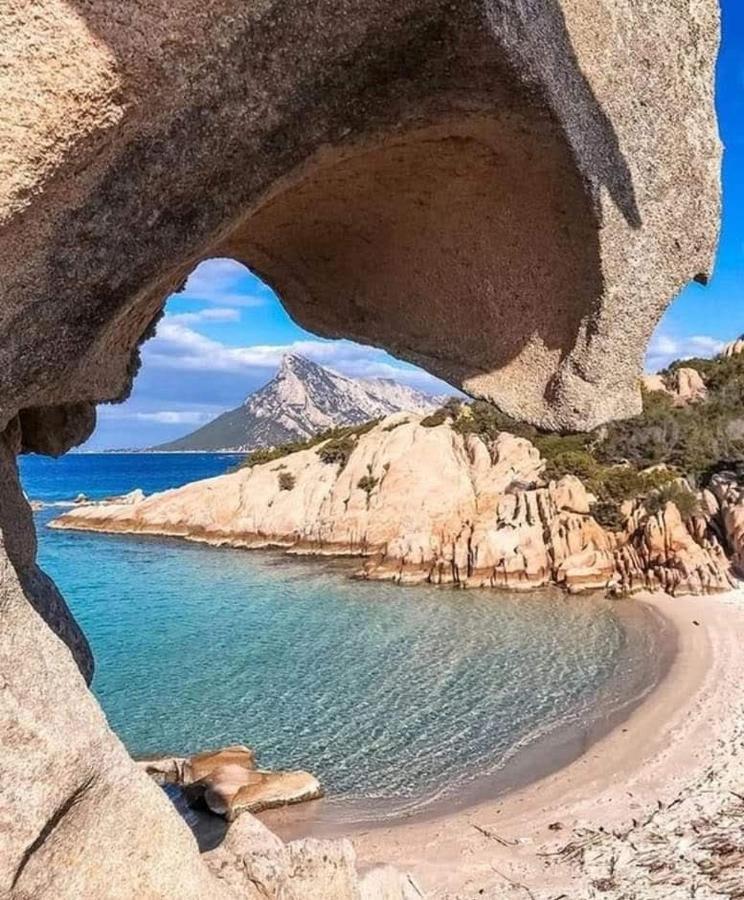 Elisart 2 Bed & Breakfast Alghero Ngoại thất bức ảnh